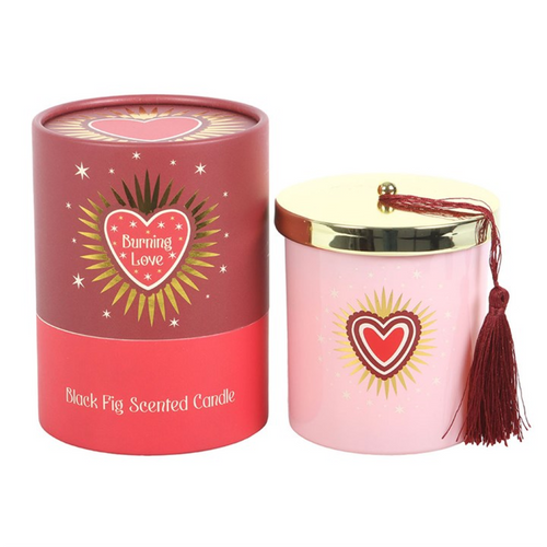 Burning Love Black Fig Scented Candle in Pink Jar with Gold Lid – 28hr Burn